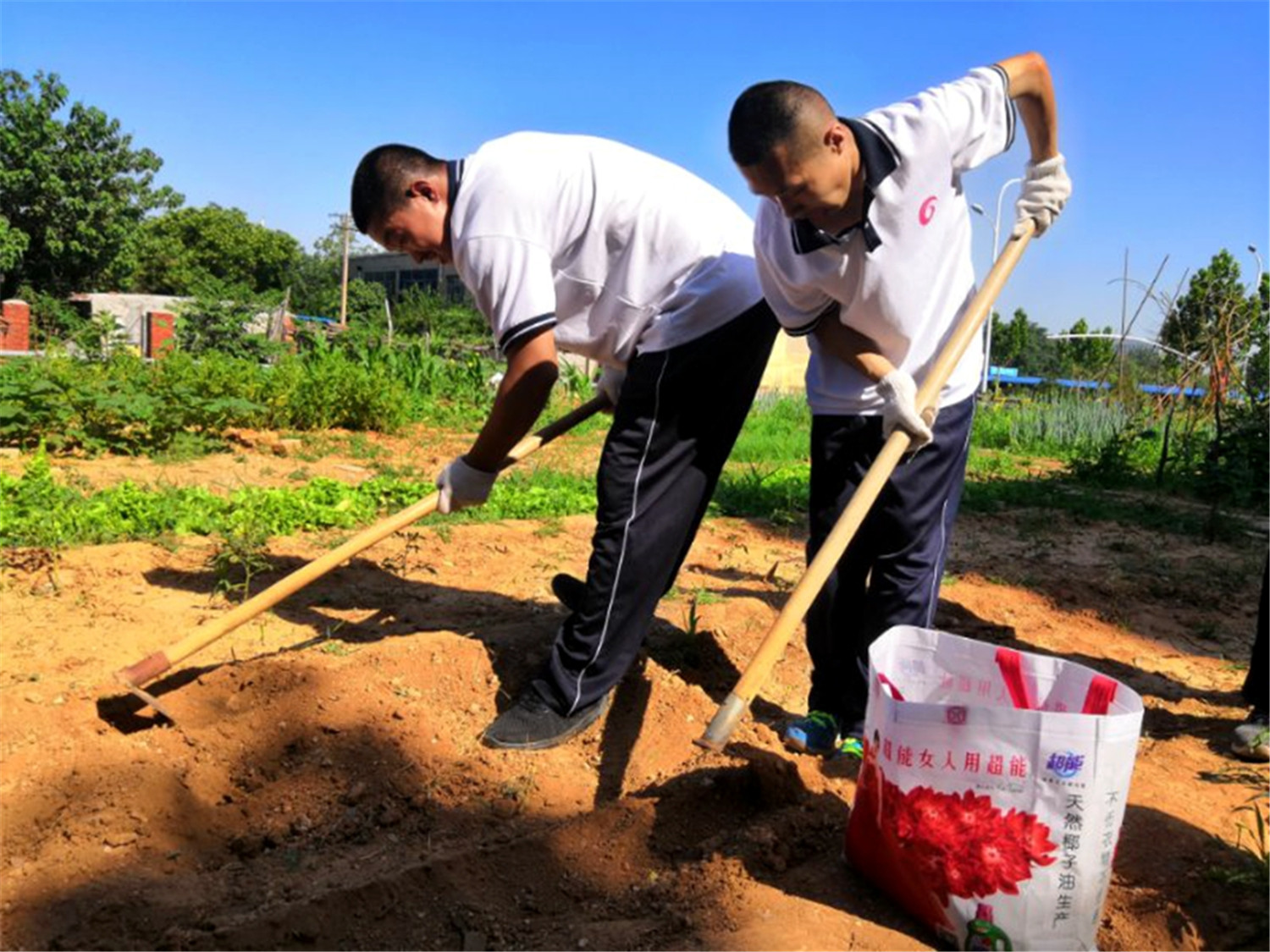 市特教中心舉行“展學(xué)藝、慶黨建”活動